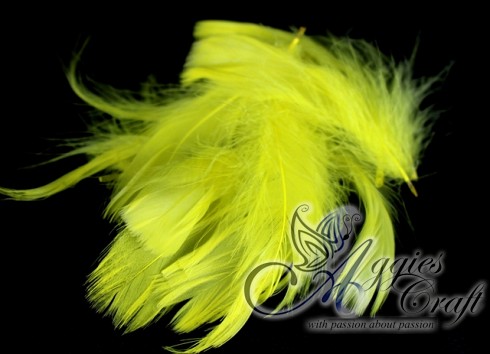Large pack of Feathers, YELLOW