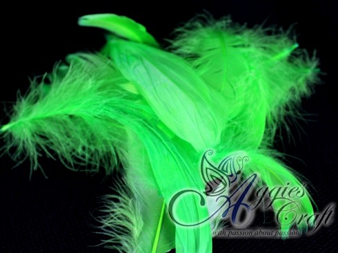 Large pack of Feathers, BRIGHT GREEN