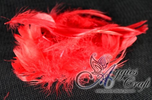 Large pack of Feathers, RED