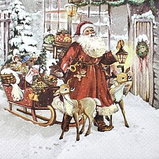 Napkins Lunch 33 x 33cm, Product Code 593