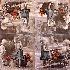 Napkins Lunch 33 x 33cm, Product Code 755