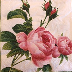 Napkins Lunch 33 x 33cm, Product Code 774