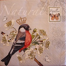 Napkins Lunch 33 x 33cm, Product Code 831