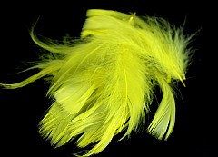Large pack of Feathers, YELLOW
