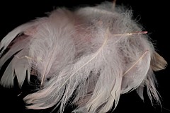 Large pack of Feathers, BABY PINK