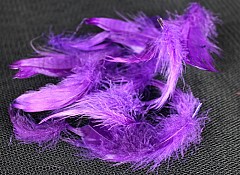 Large pack of Feathers, PURPLE