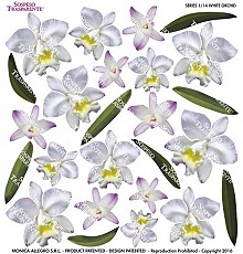 Sospeso Printed Foil, WHITE ORCHID