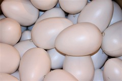 White Medium Plastic Egg for Decorating, 11cm