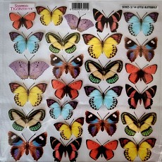 Sospeso Printed Foil,  LITTLE BUTTEFLY