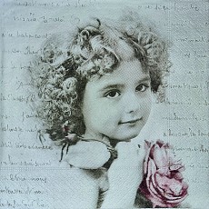 Napkins Lunch 33 x 33cm, Product Code 370