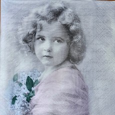 Napkins Lunch 33 x 33cm, Product Code 371