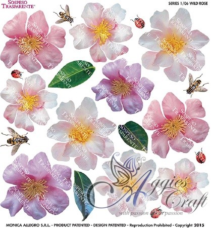 Sospeso Printed Foil,  WILD ROSE